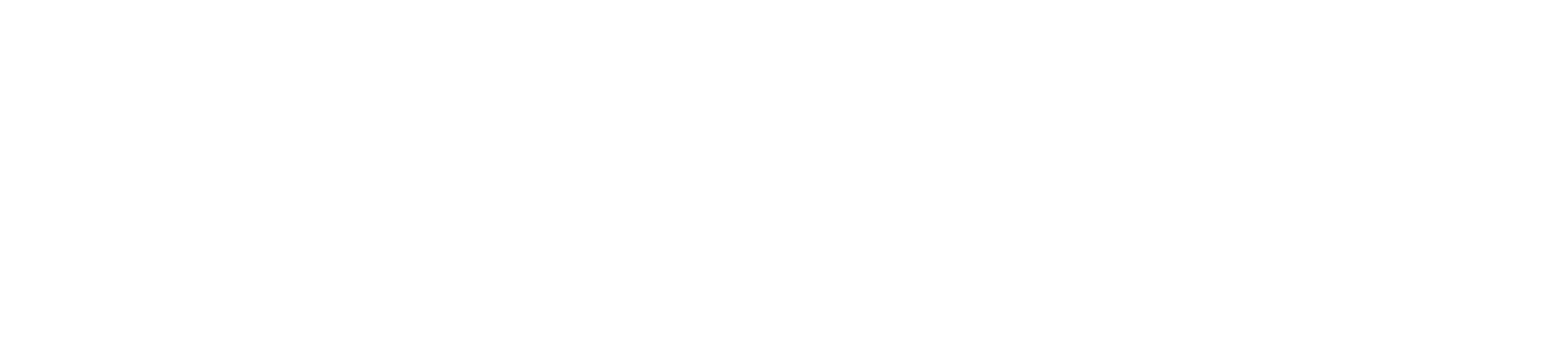 Logo White